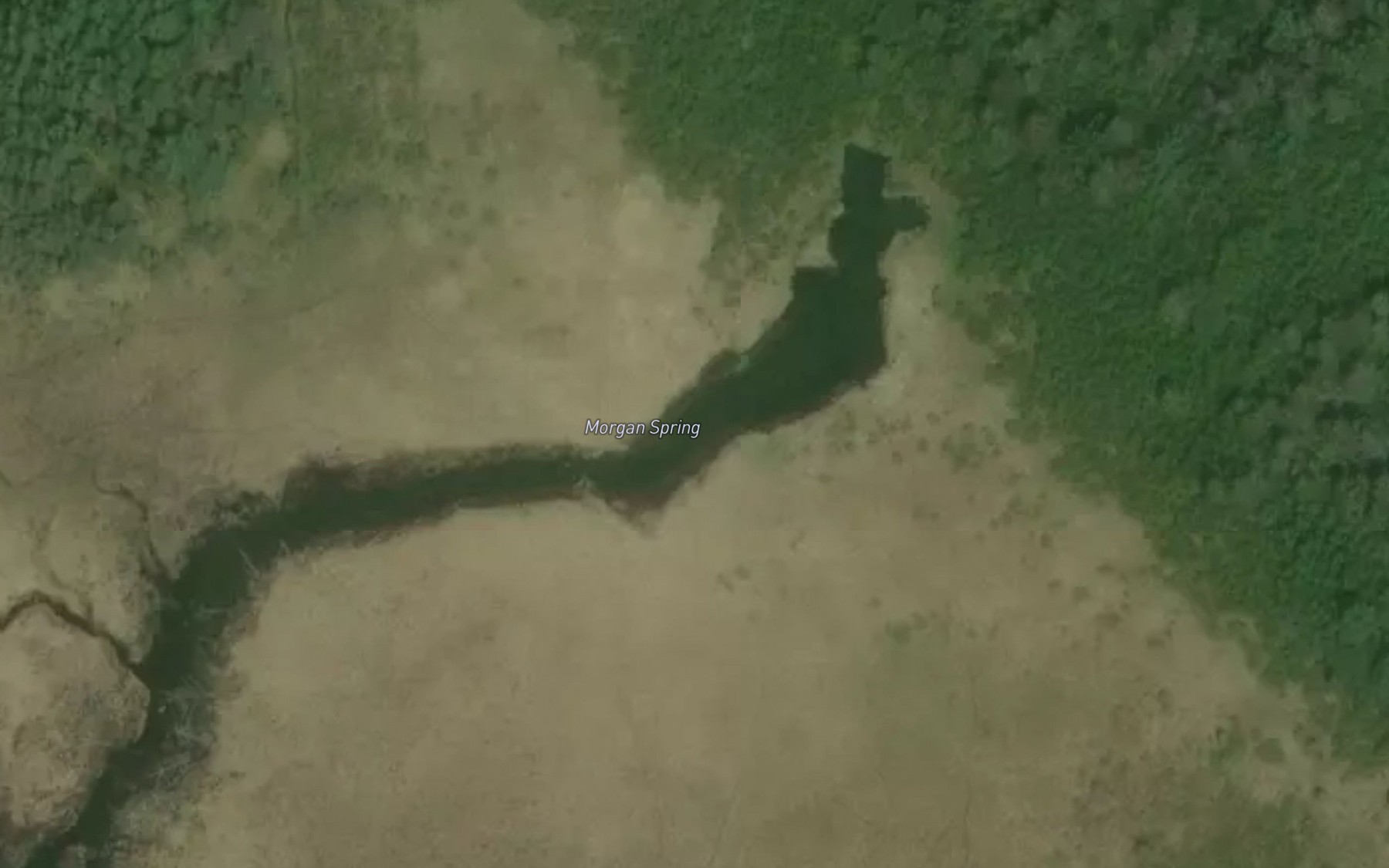 Satellite map of the Morgan Spring