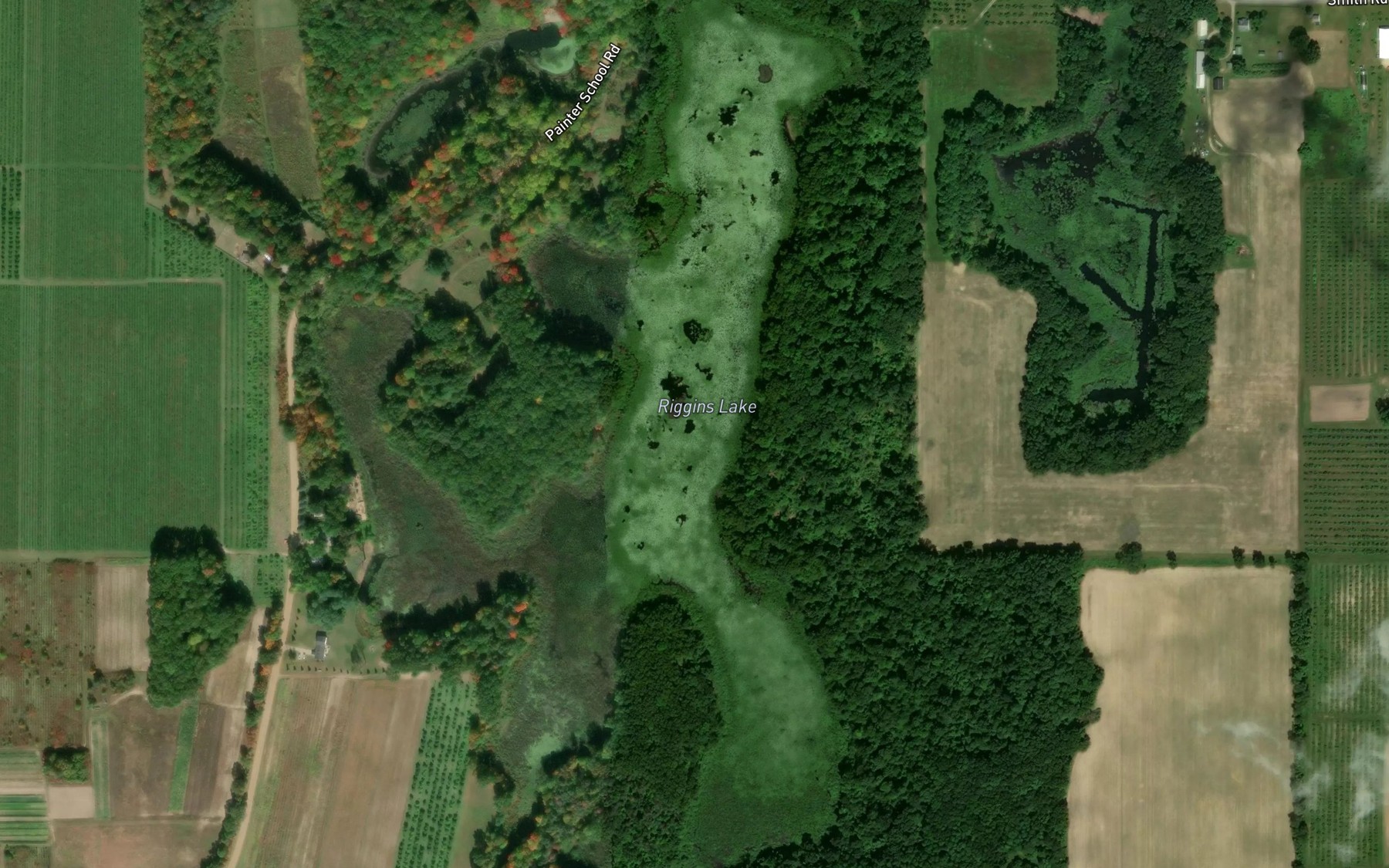 Satellite map of the Riggins Lake