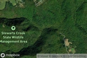 North Fork Stewarts Creek