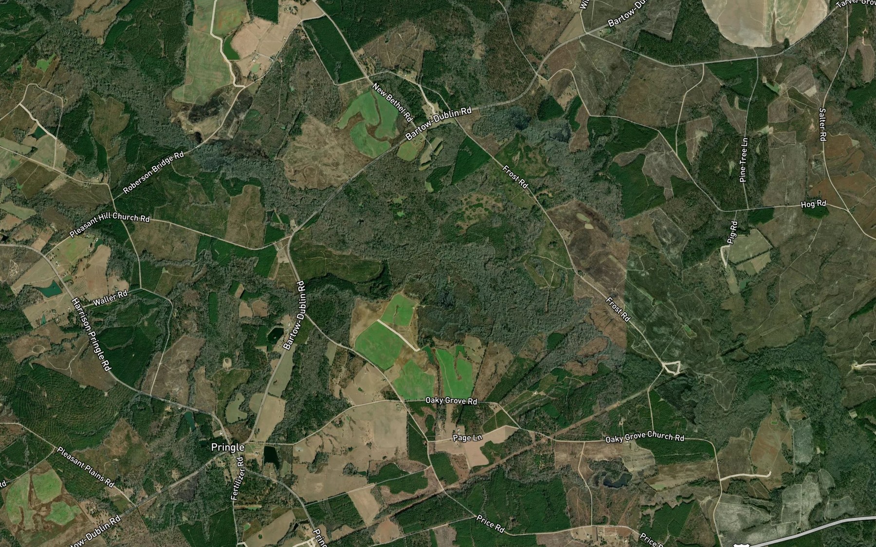 Satellite map of the Big Branch
