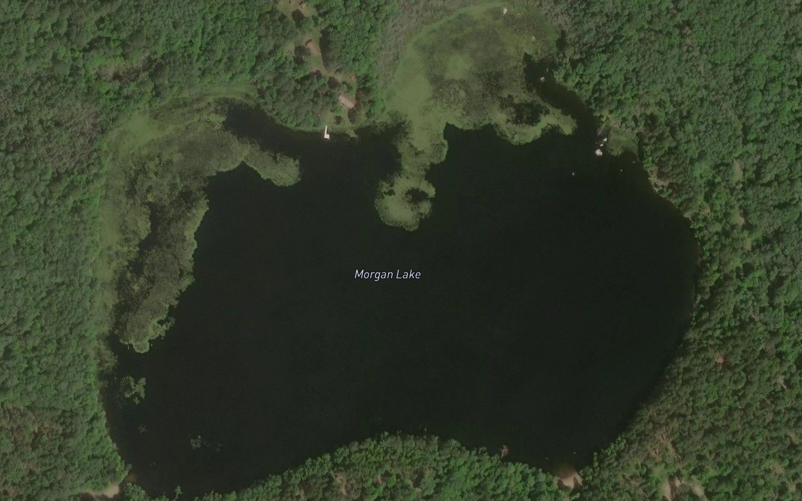 Morgan Lake