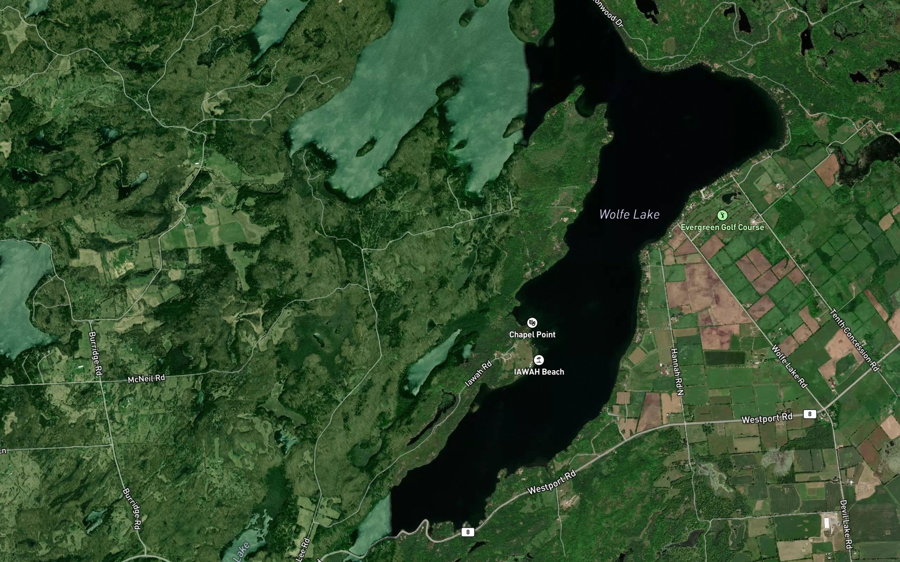Satellite map of the Judy Pond