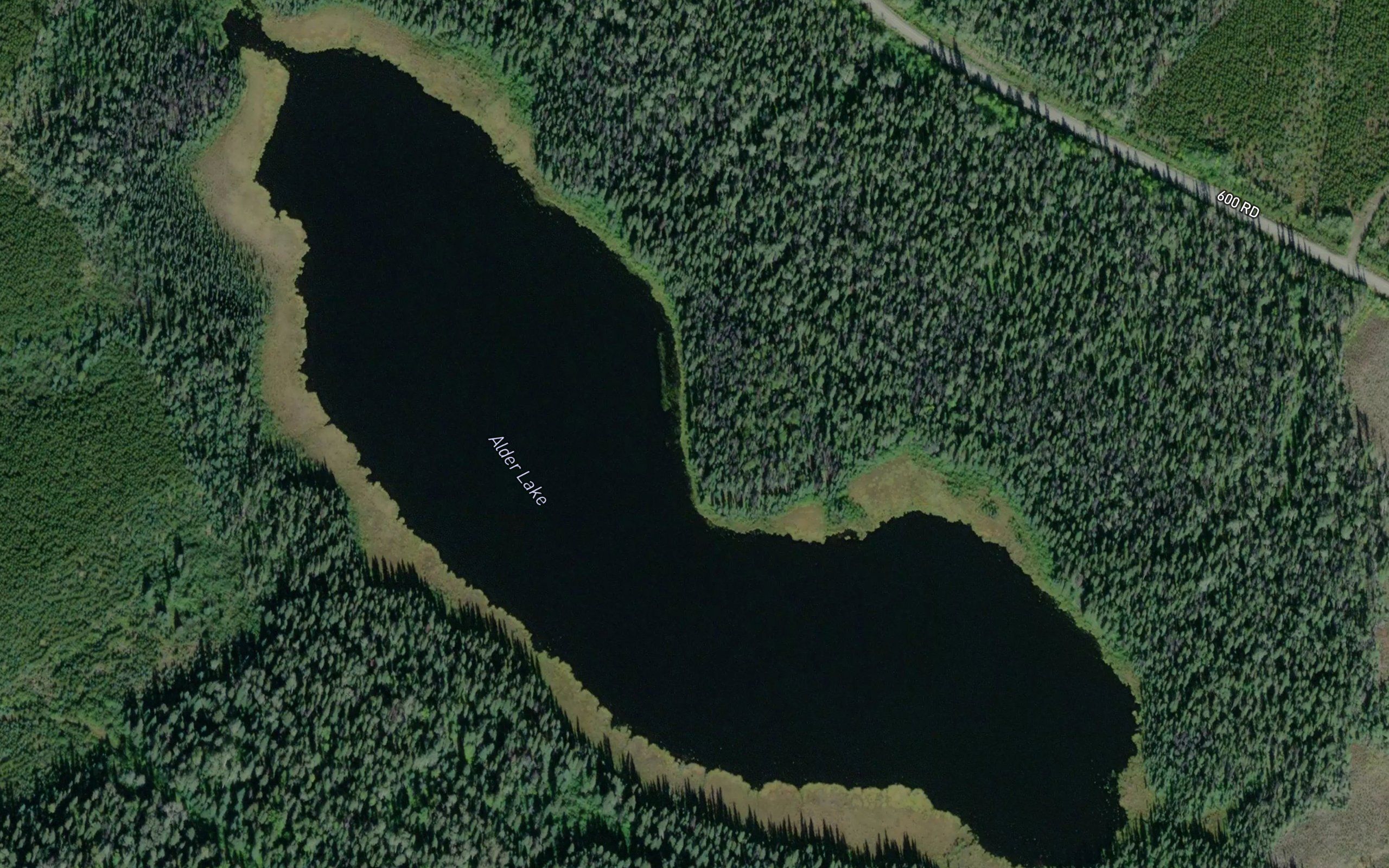 Alder Lake