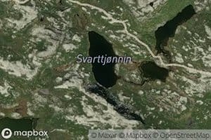 Svarttjorna