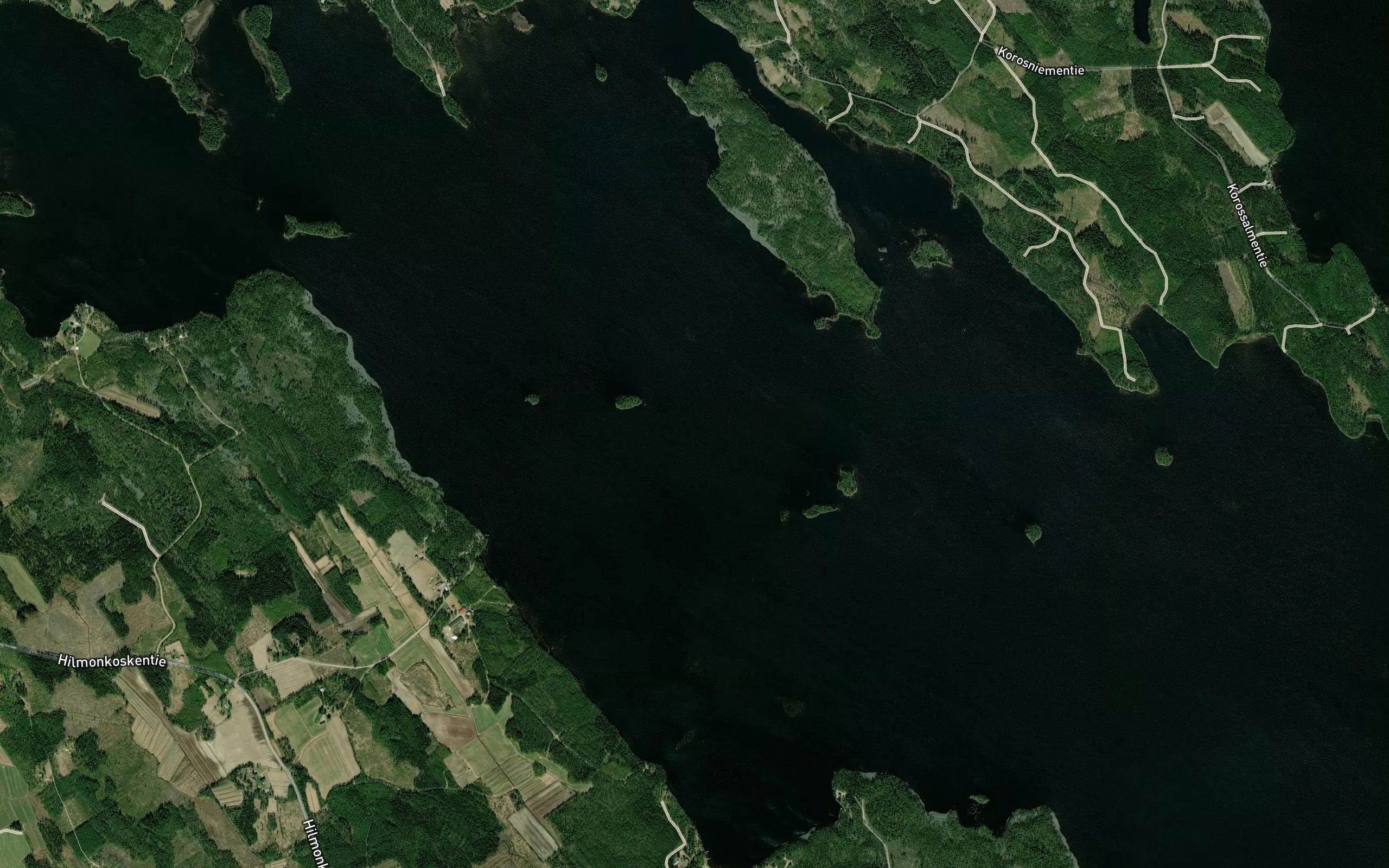 Hintonselka