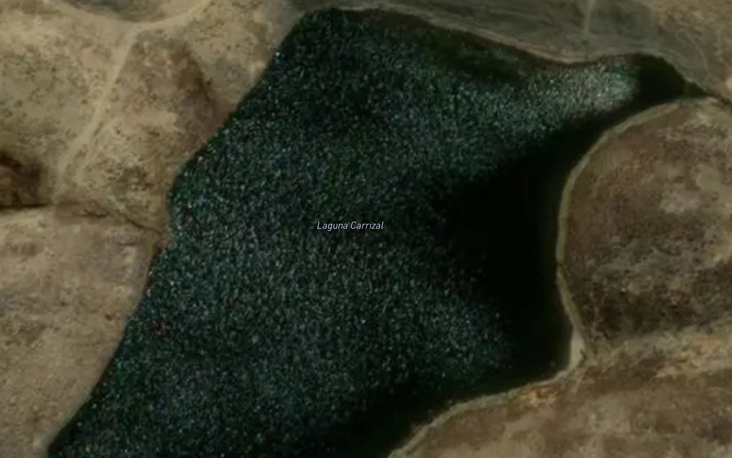 Laguna Carrizal