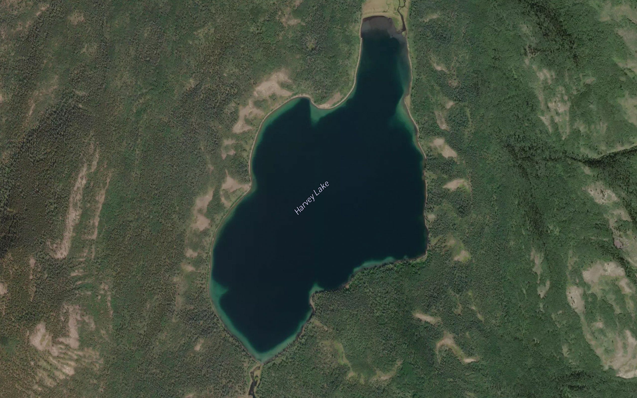 Harvey Lake