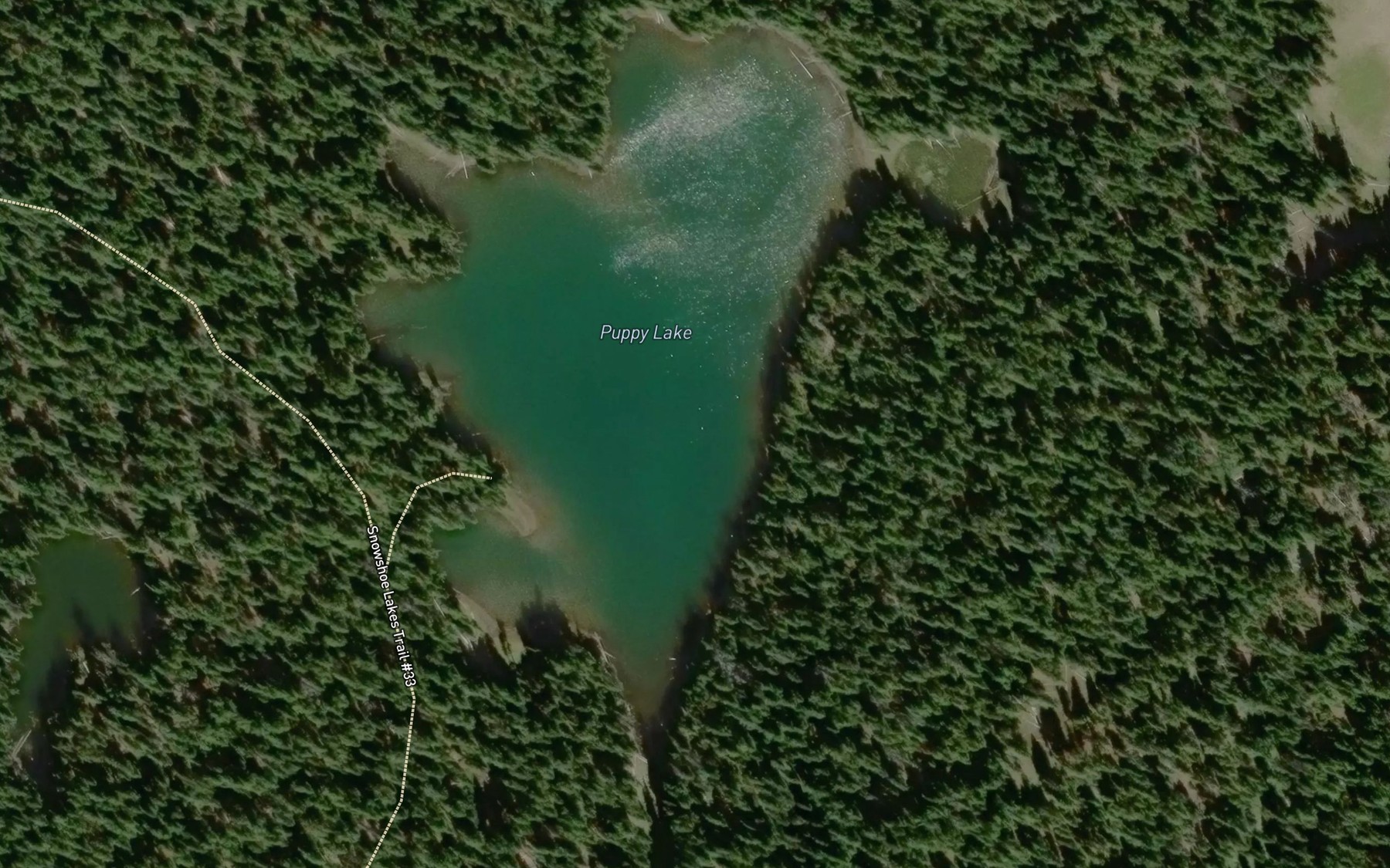 Satellite map of the Puppy Lake
