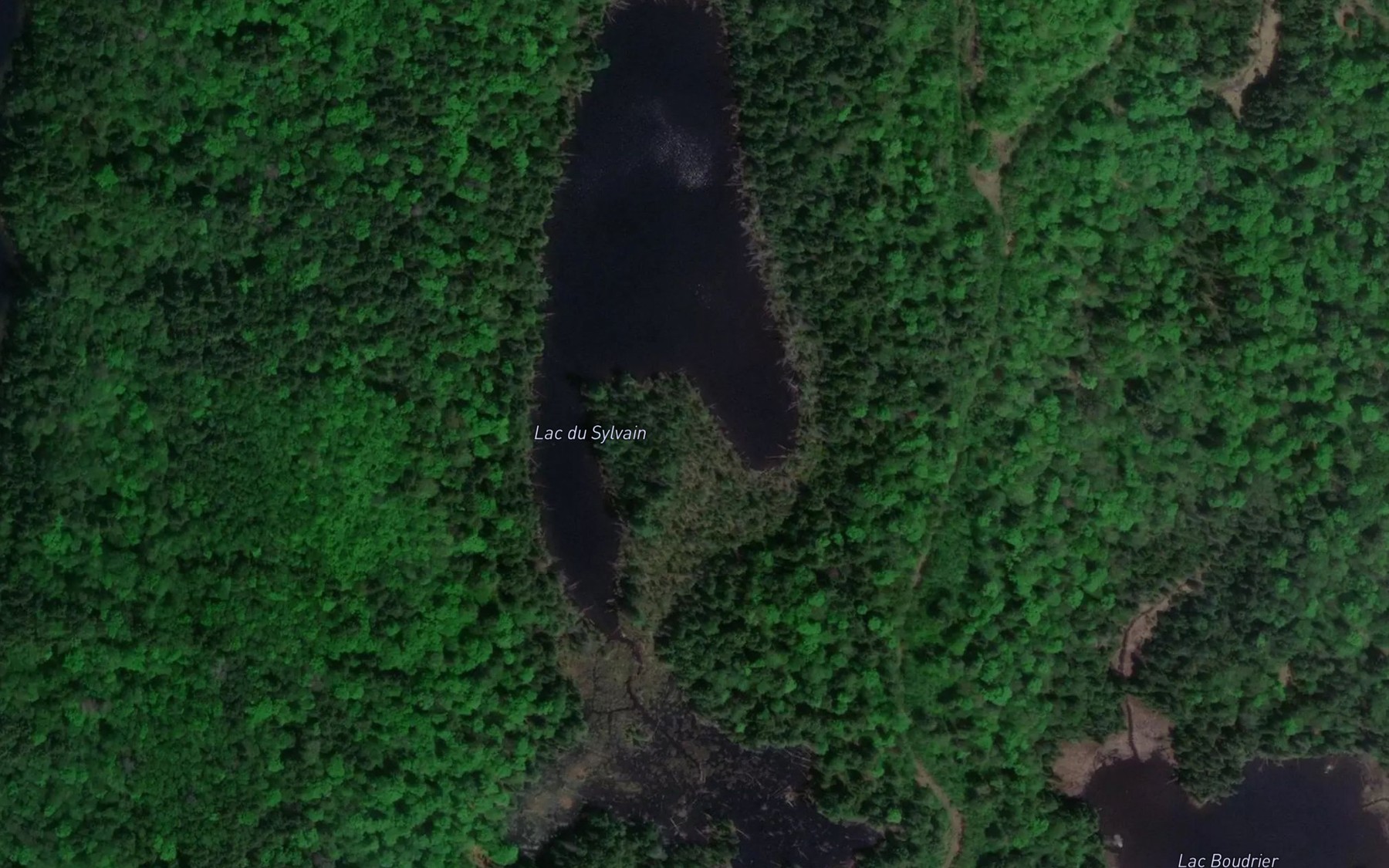Satellite map of the Lac du Sylvain