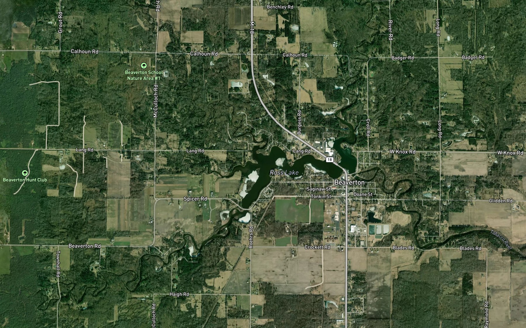 Satellite map of the South Branch Tobacco River