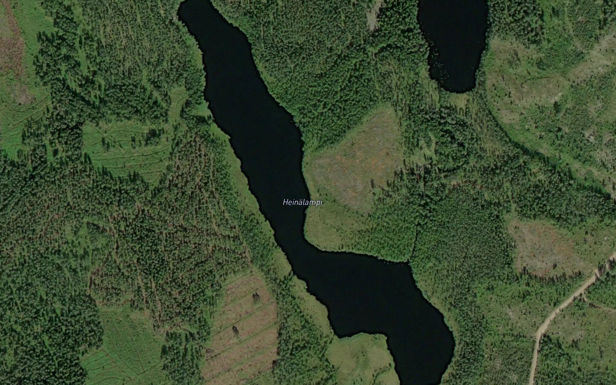 Heinalampi