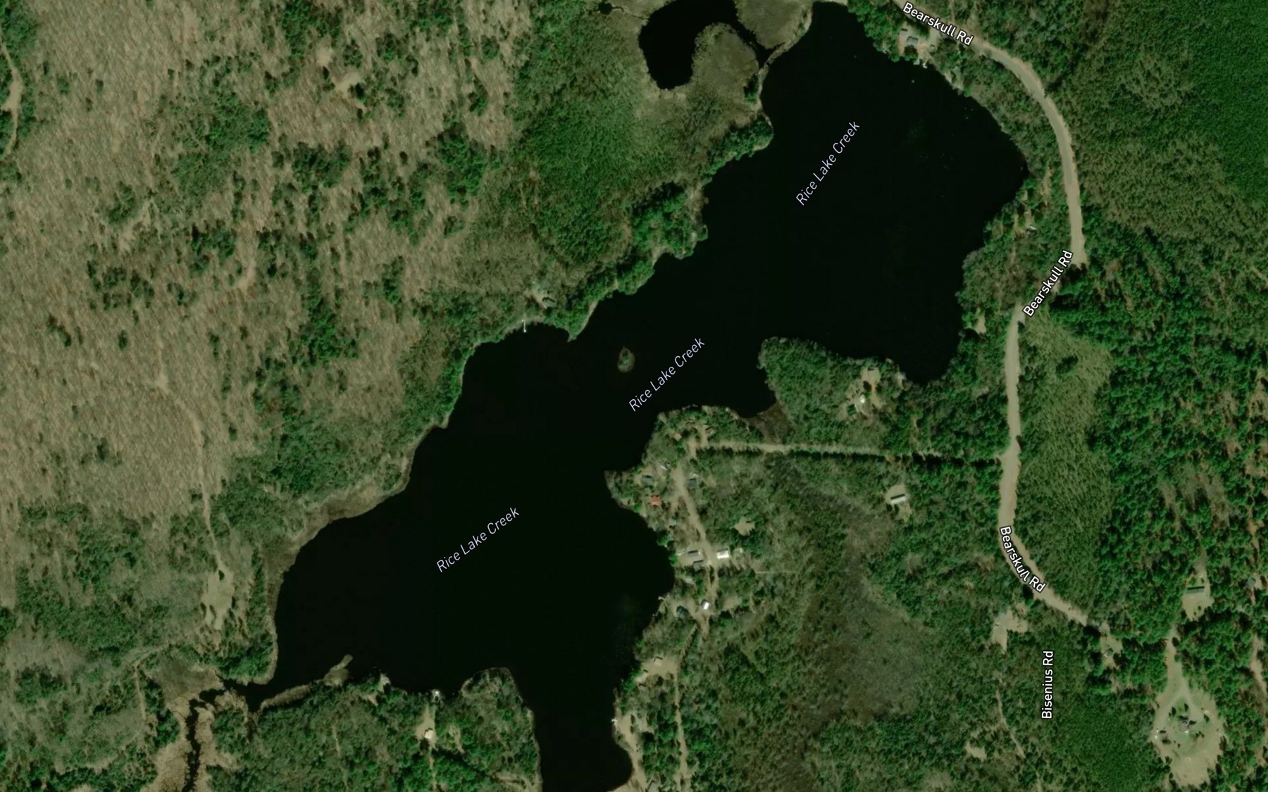 Satellite map of the Bearskull Lake