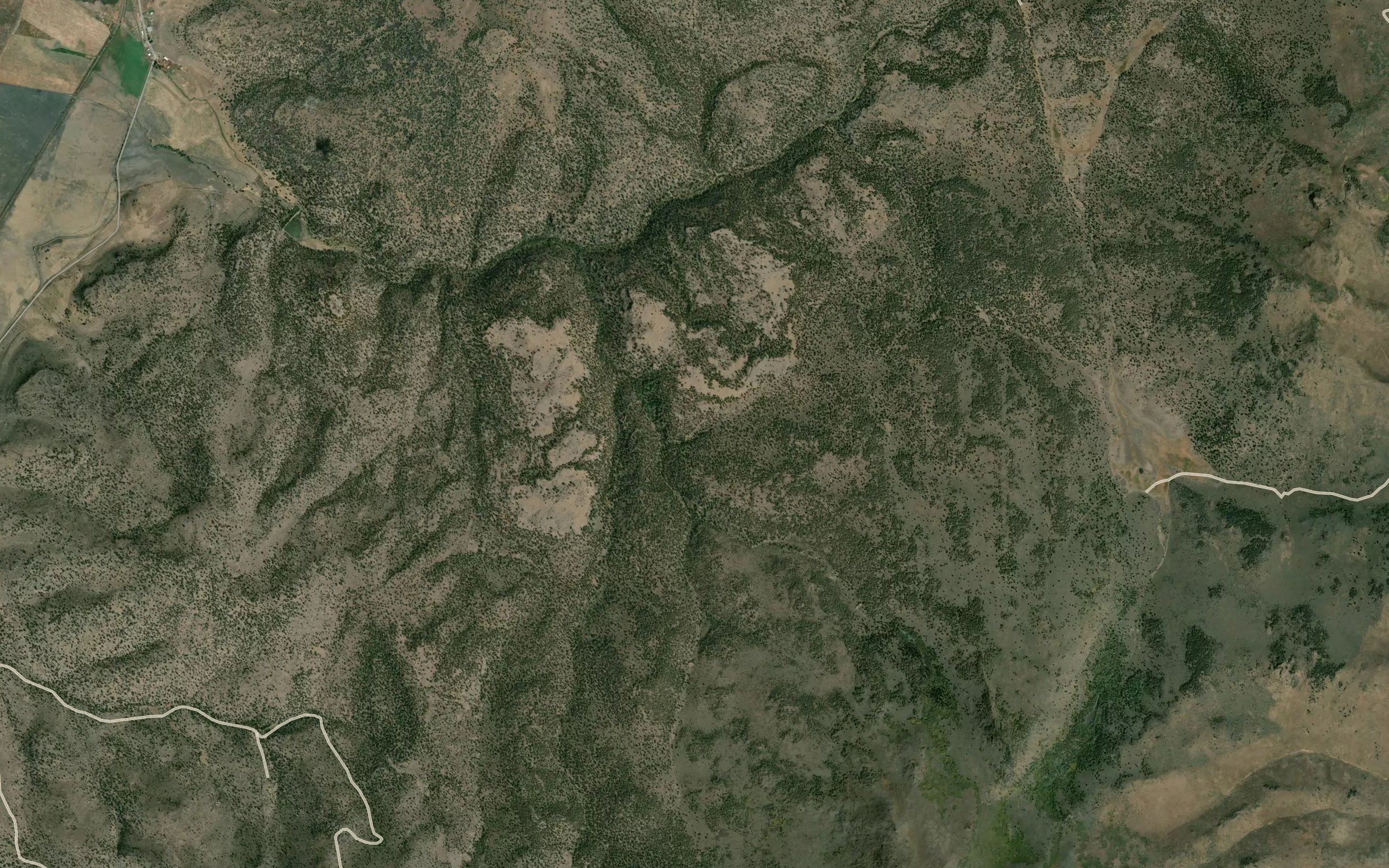 Big Springs
