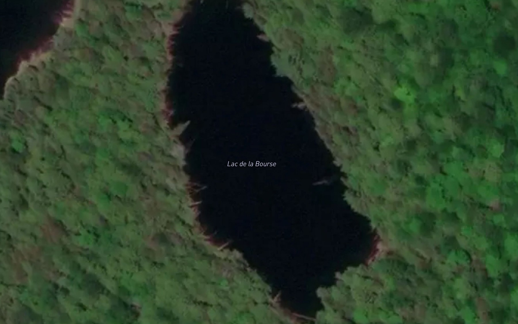 Satellite map of the Lac de la Bourse