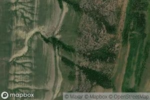 Wyman Spring