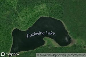 Duckwing Lake