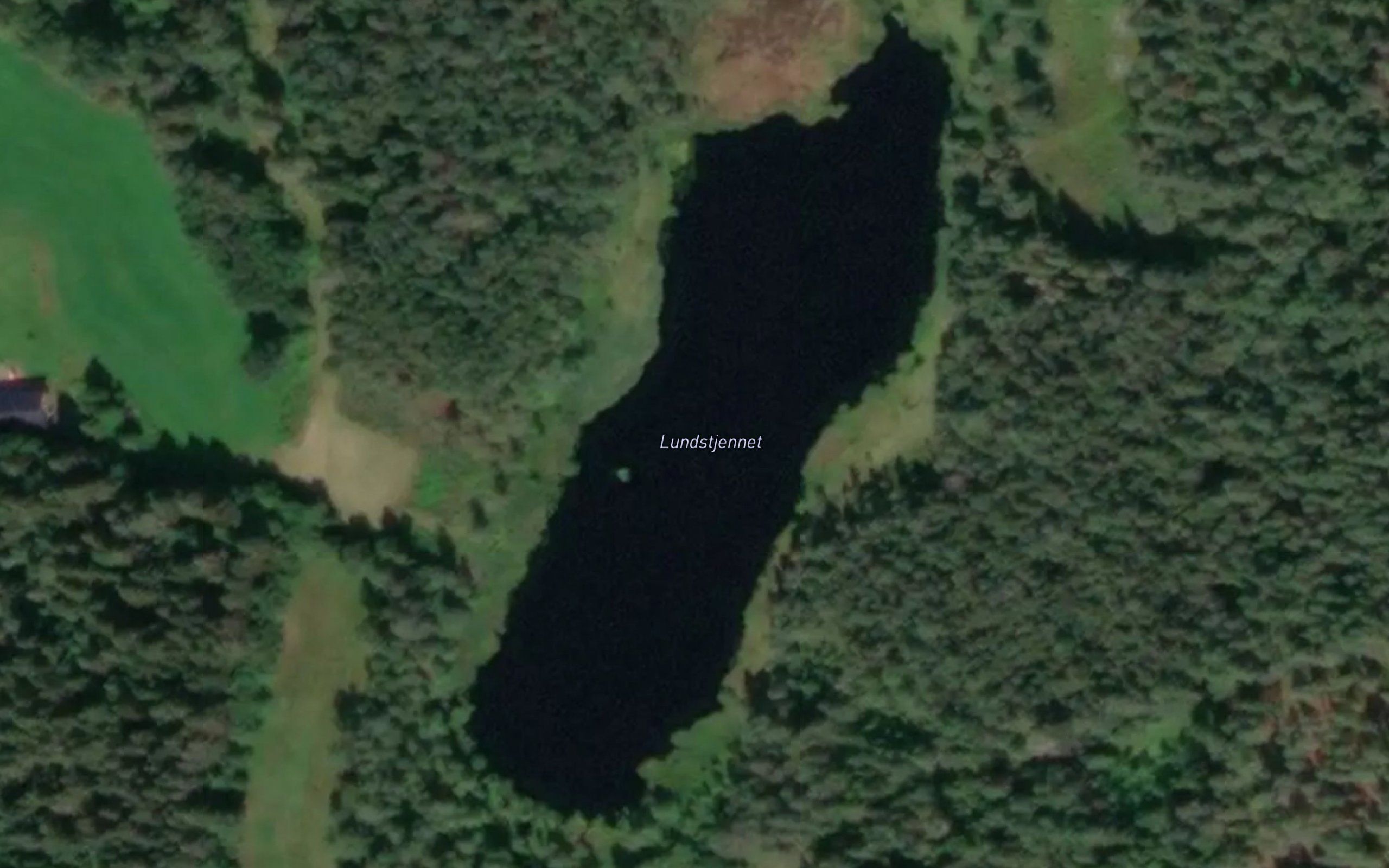 Lundstjernet