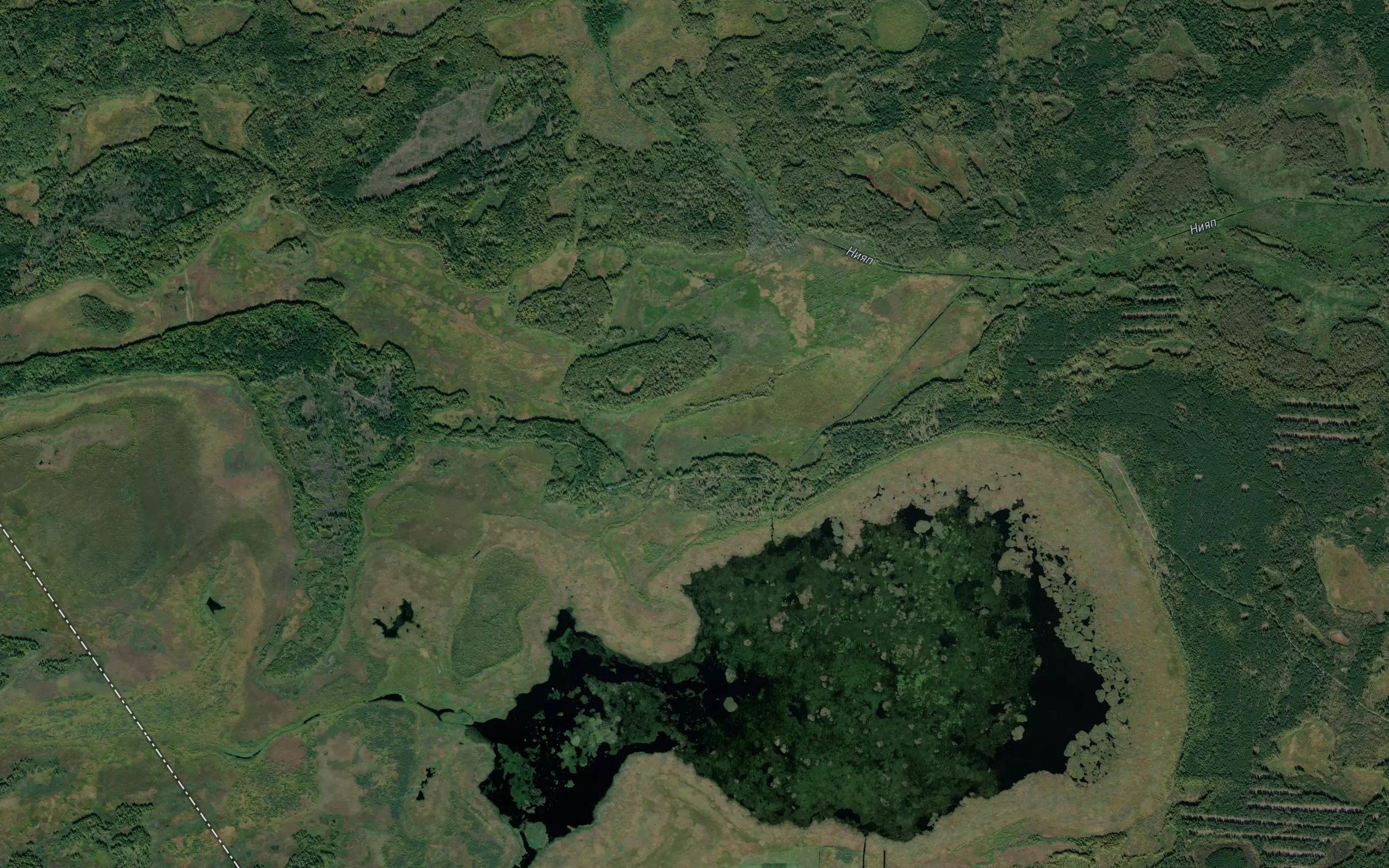 Nedevyakskoye Ozero
