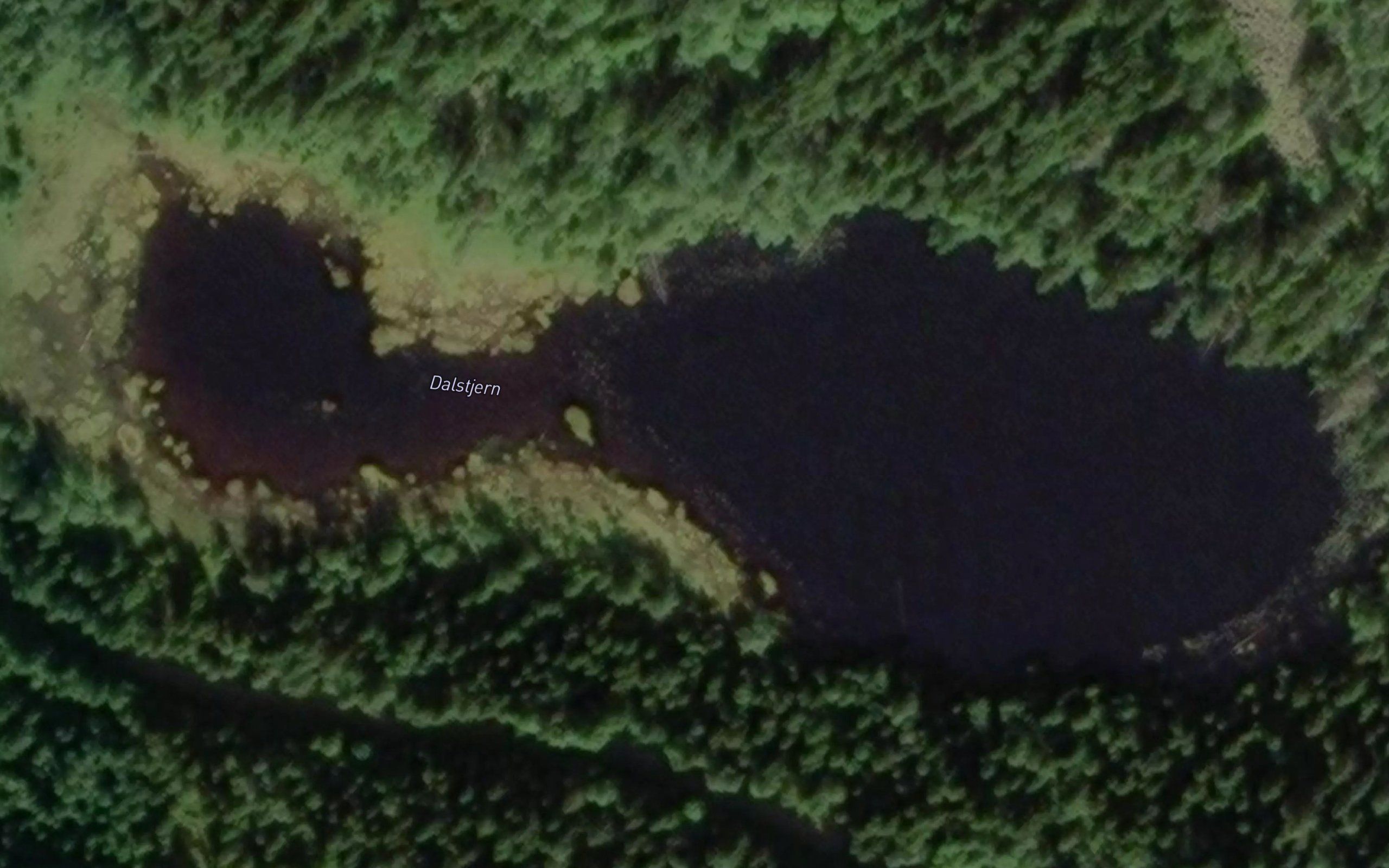 Dalstjernet