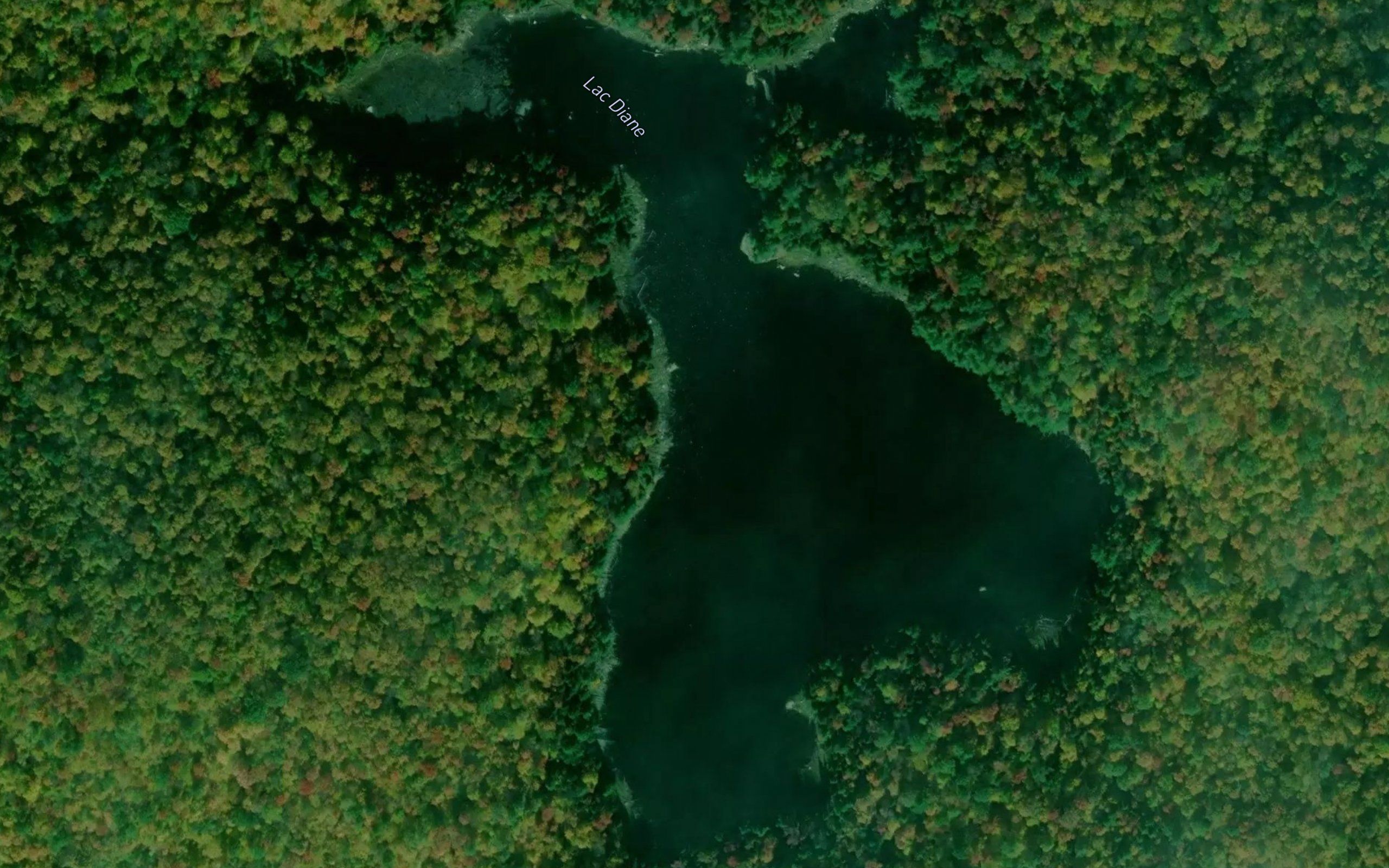Lac Diane