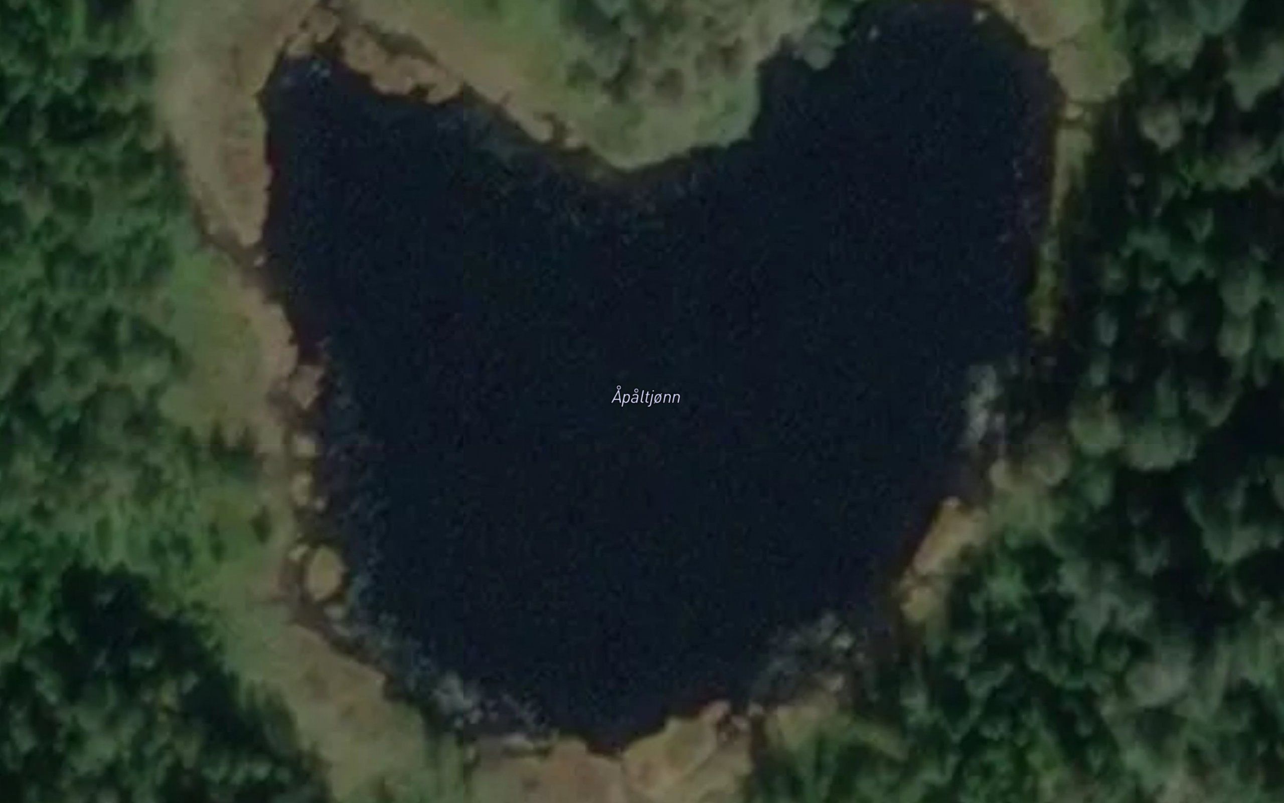 Apaltjonn