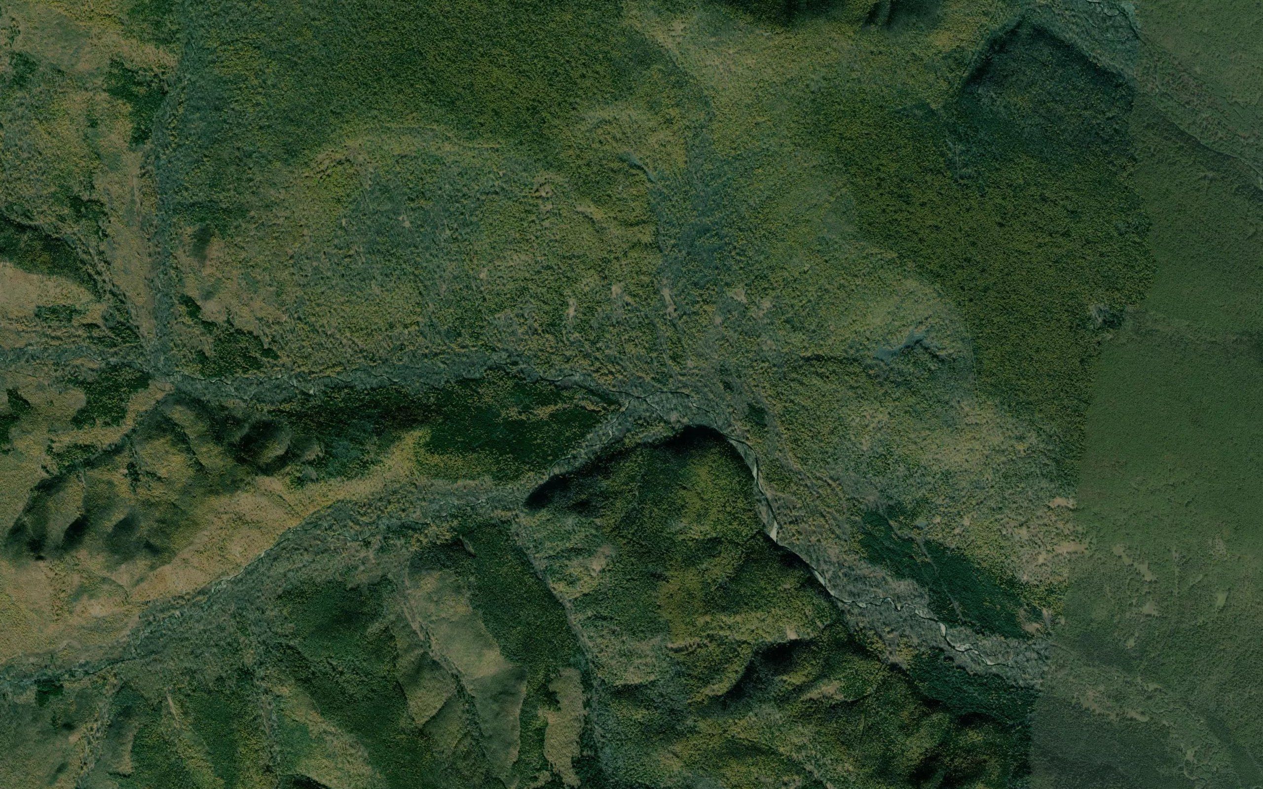 Tayezhnyy