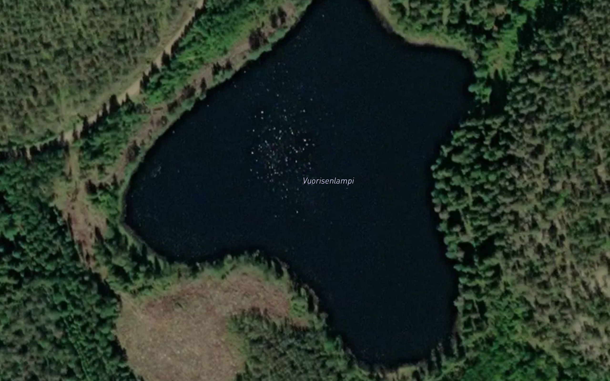 Vuorisenlampi