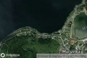 Svartvika