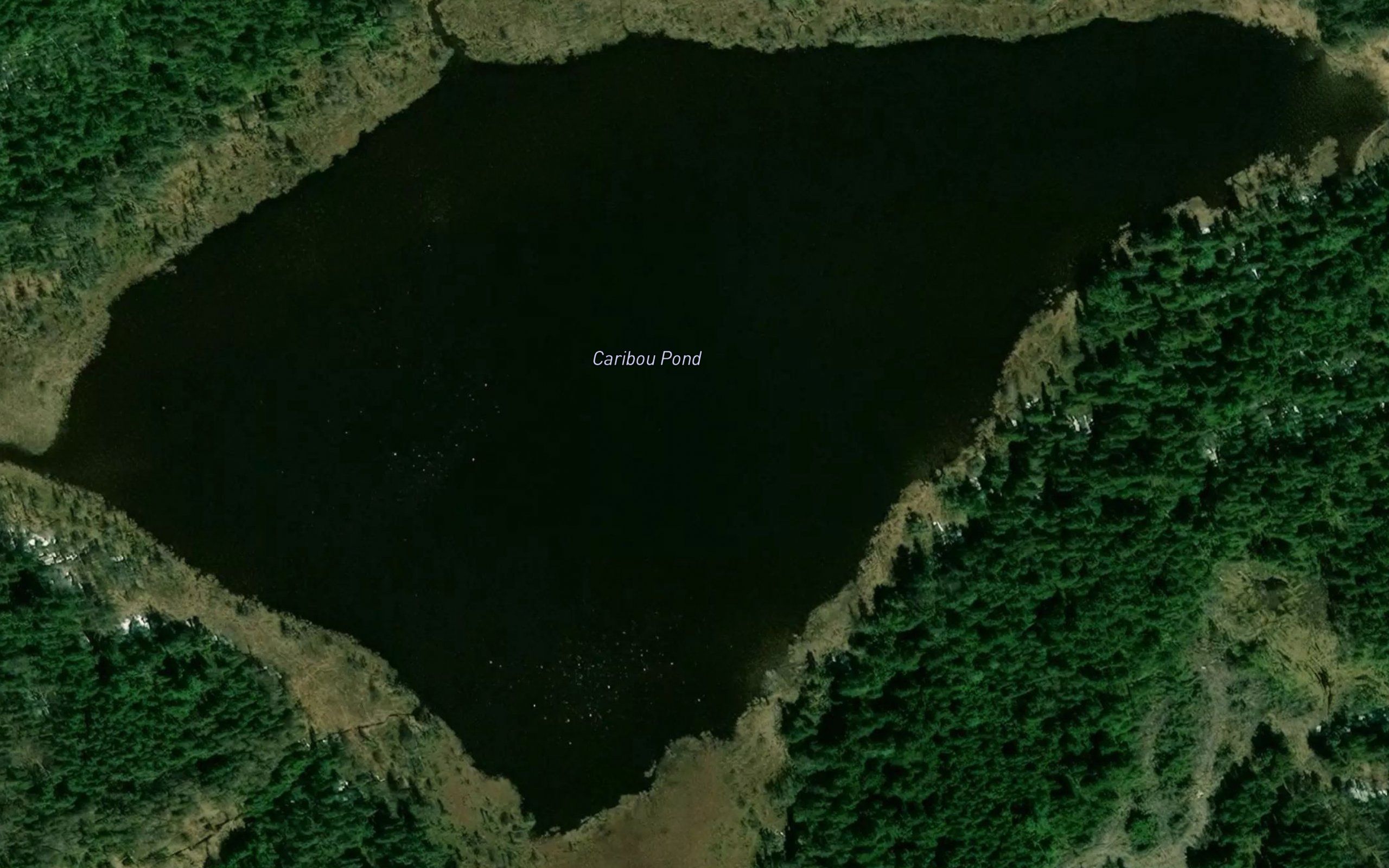 Caribou Pond