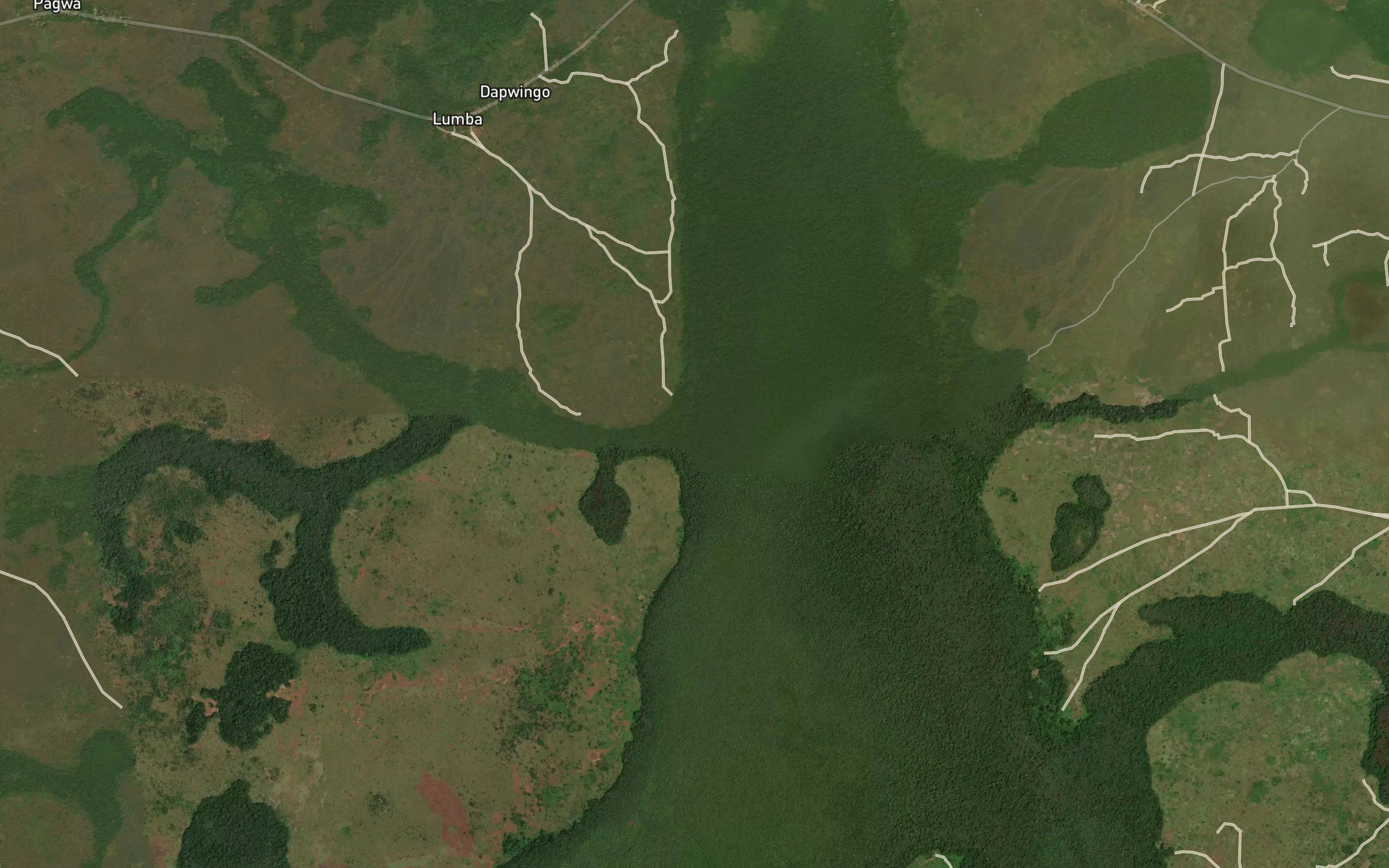Avupungbu