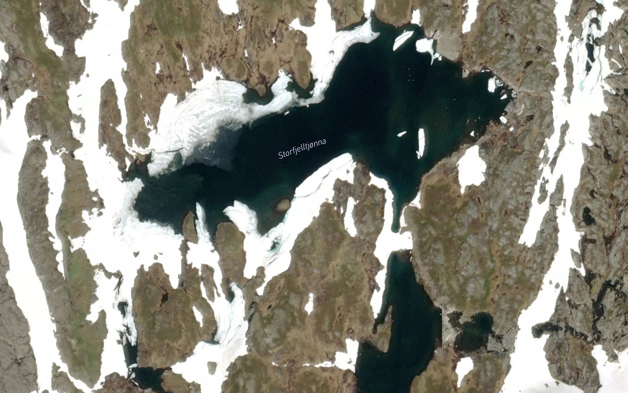 Storfjelltjorna