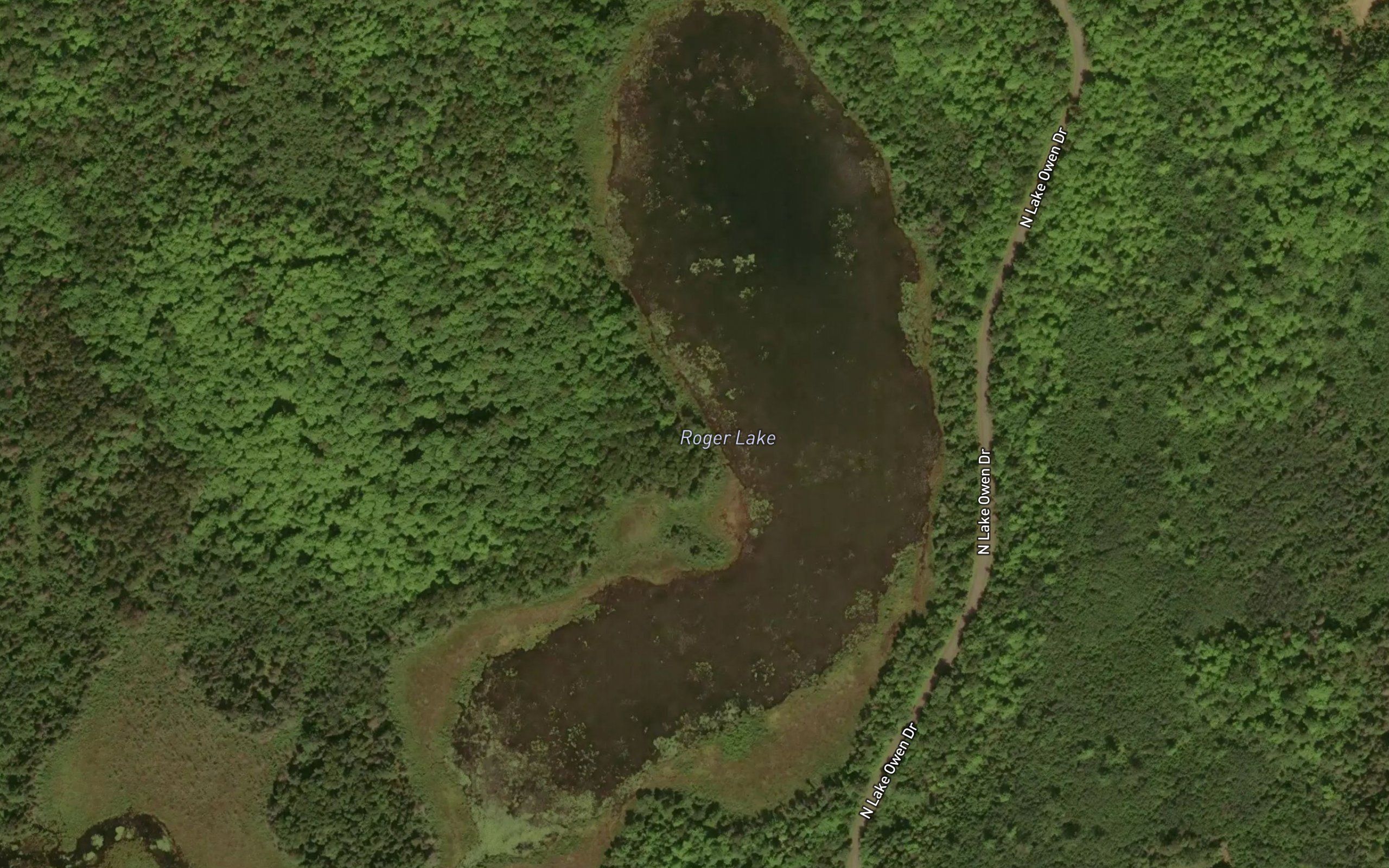 Roger Lake