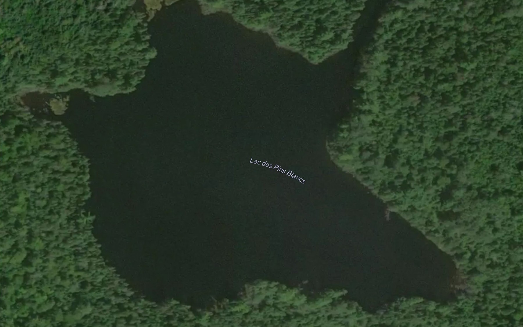 Satellite map of the Lac des Pins Blancs