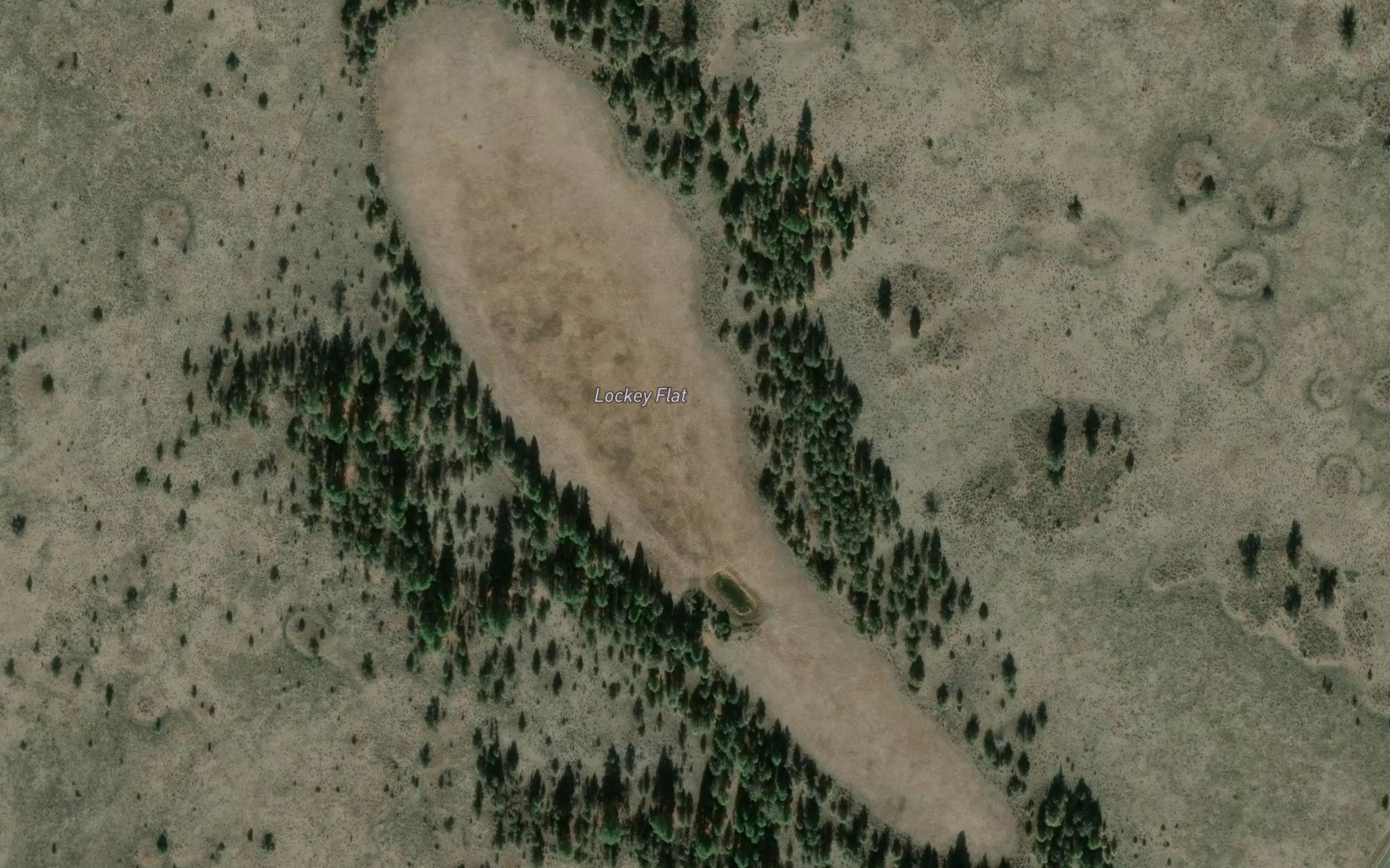 Satellite map of the Lockey Flat