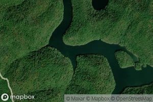 Cinthia Branch (historical)