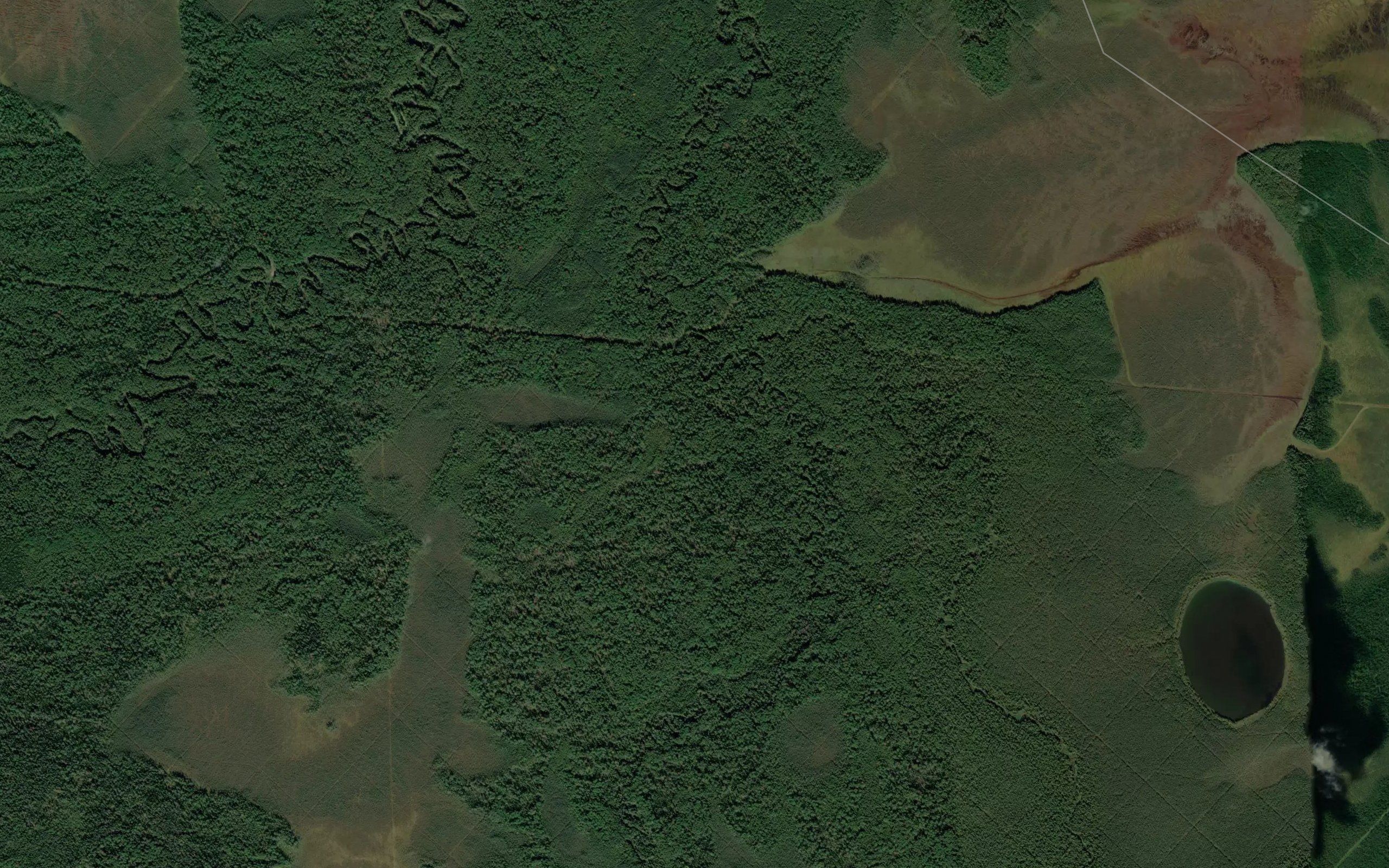 Krapivnaya
