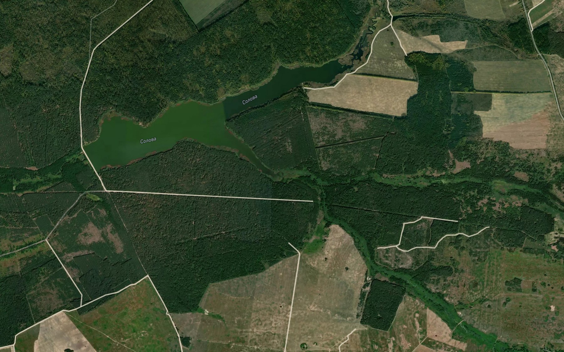 Satellite map of the Voronochek