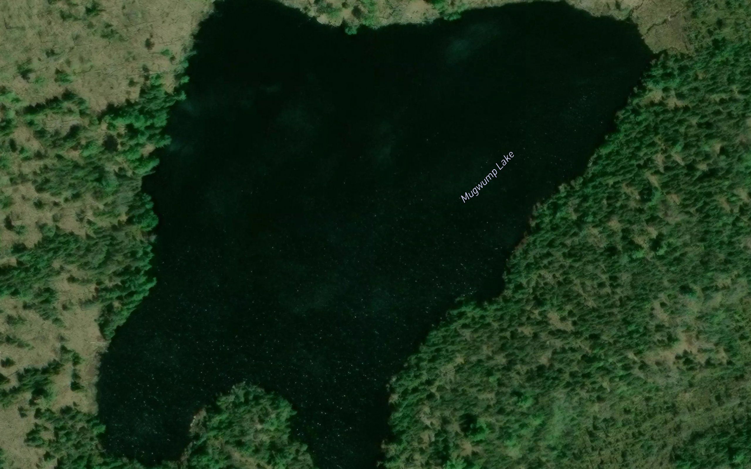 Mugwump Lake