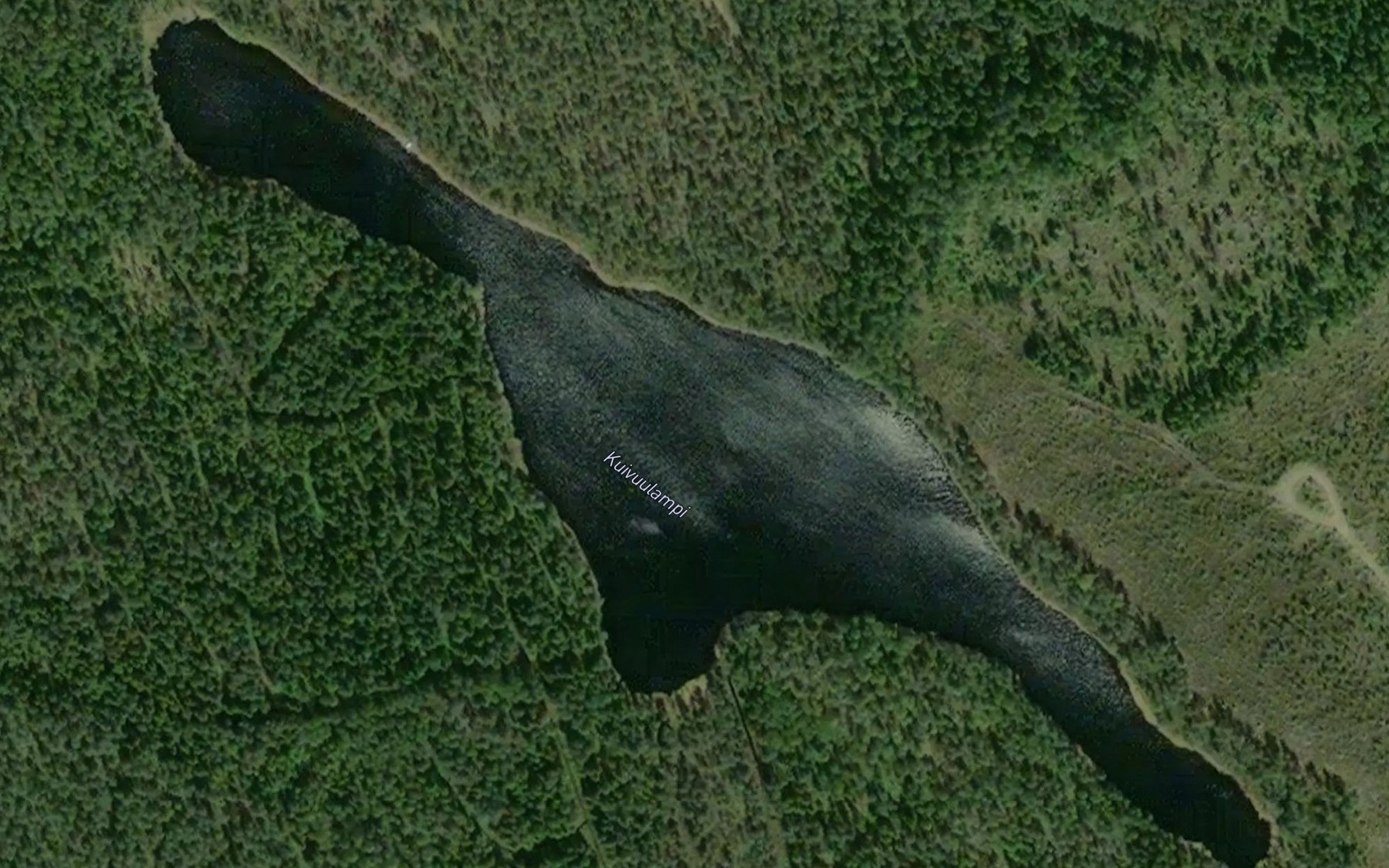 Satellite map of the Kuivuulampi