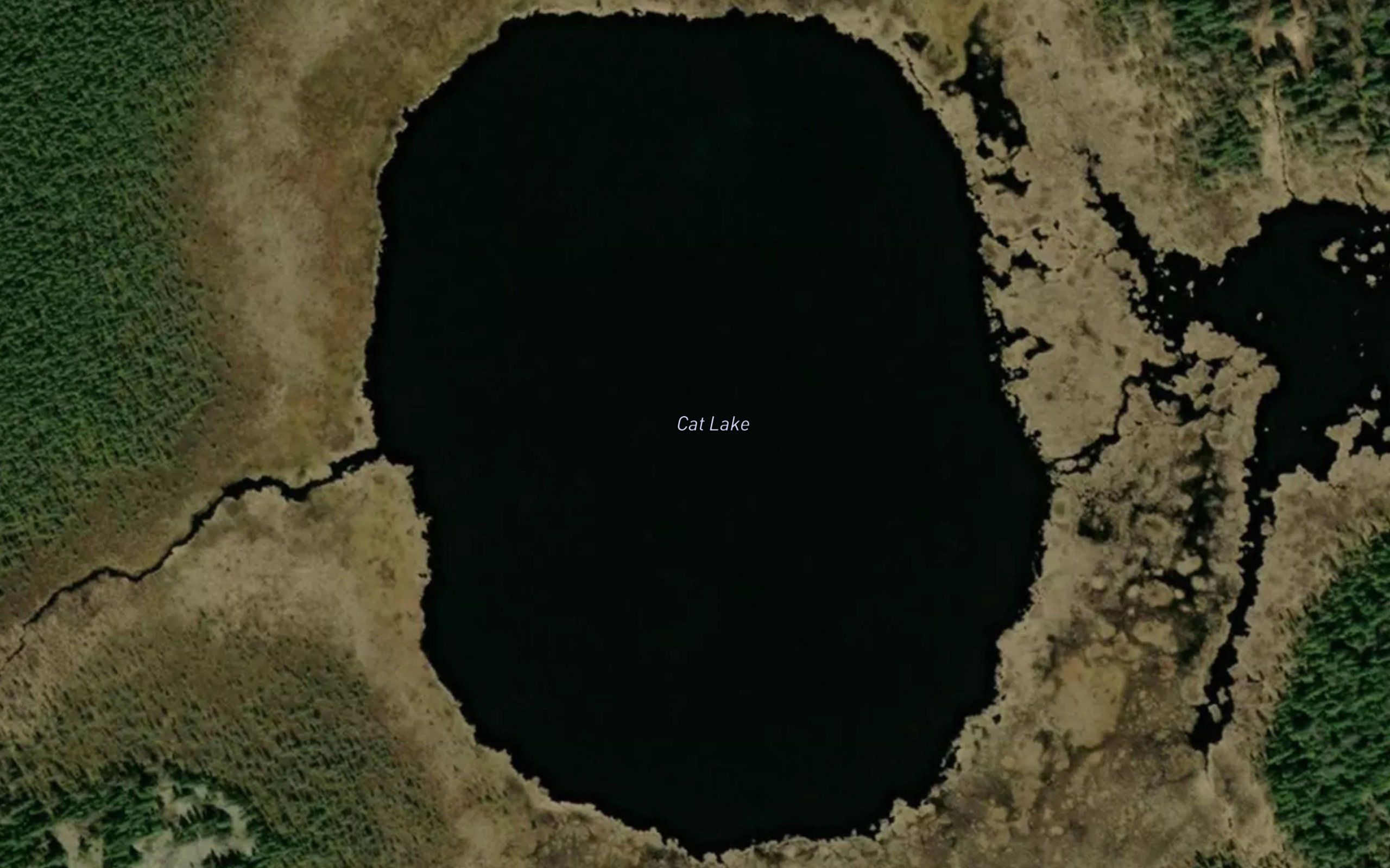 Cat Lake