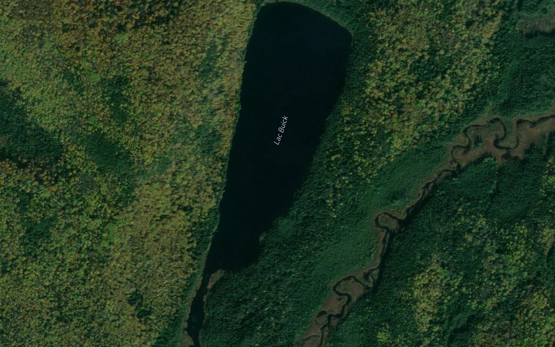 Satellite map of the Lac Buick