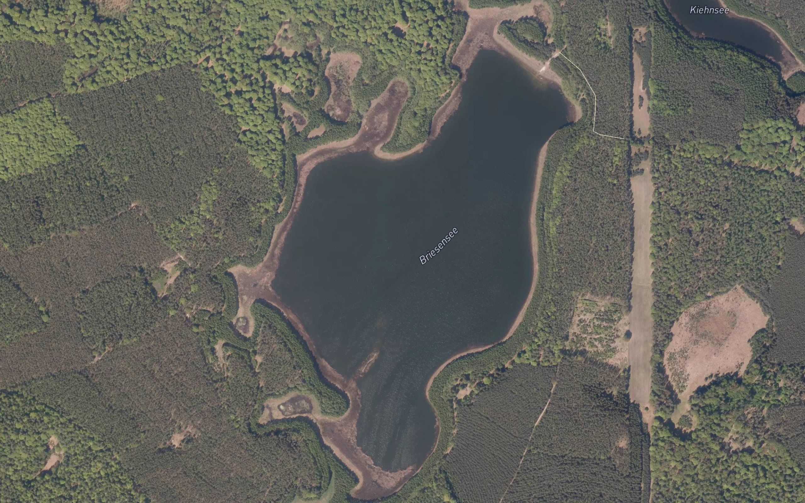 Briesensee