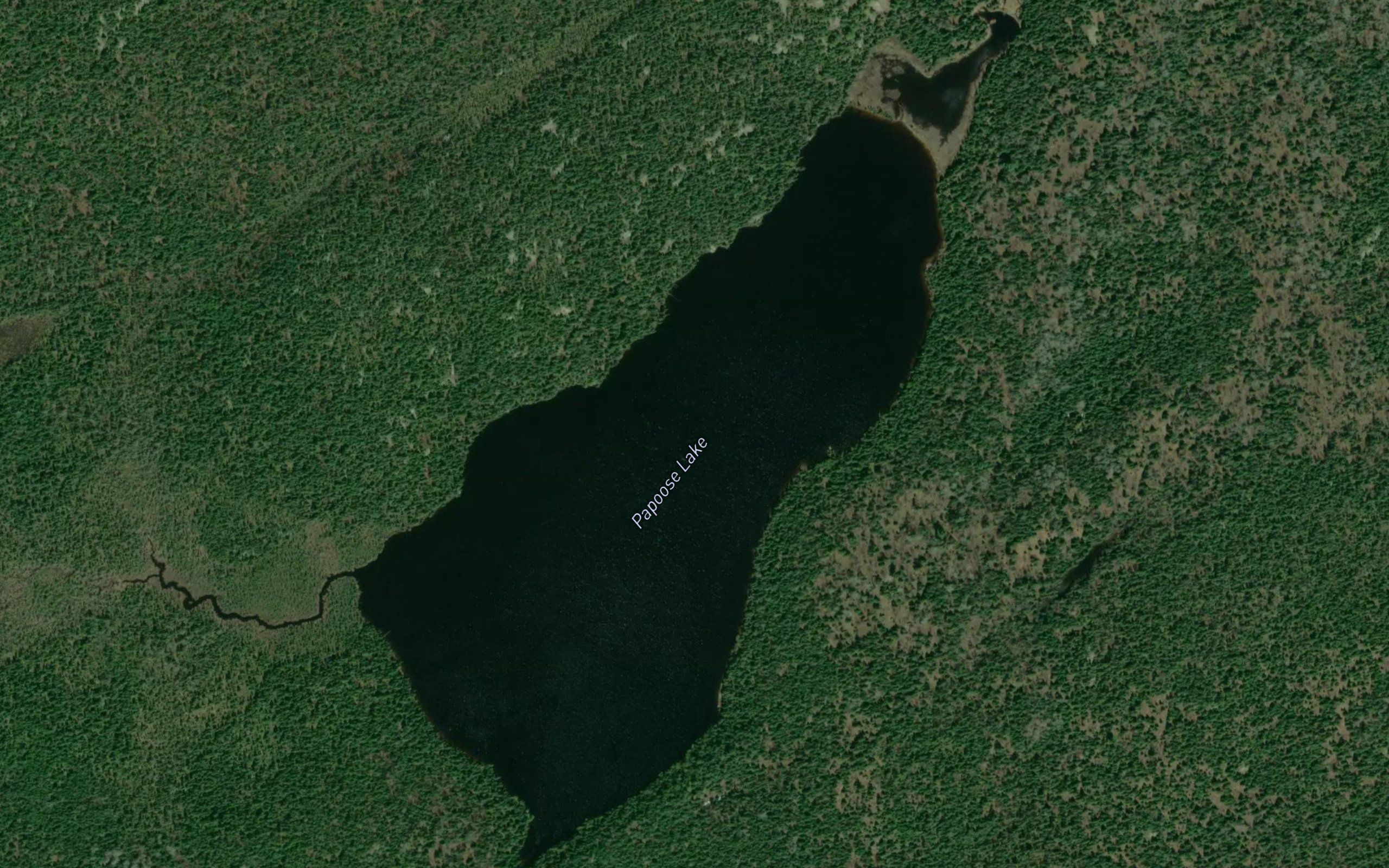 Papoose Lake