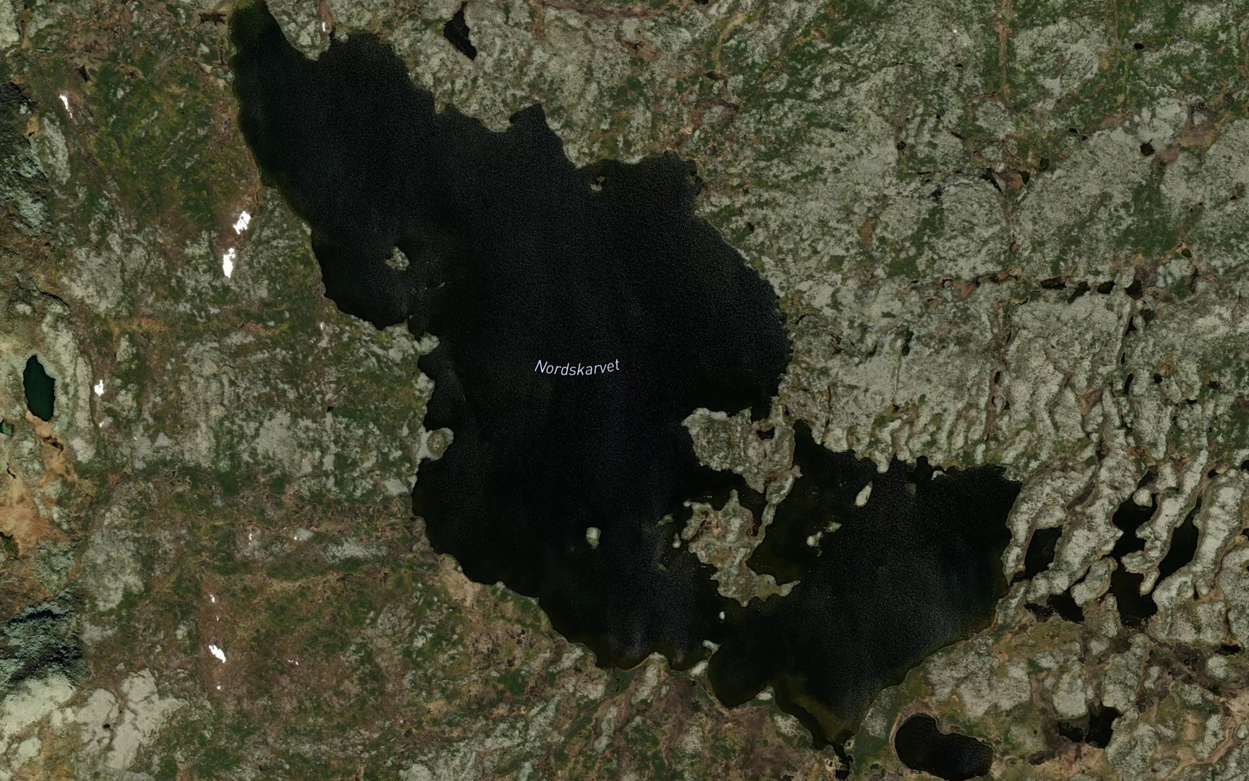 Nordskarvet