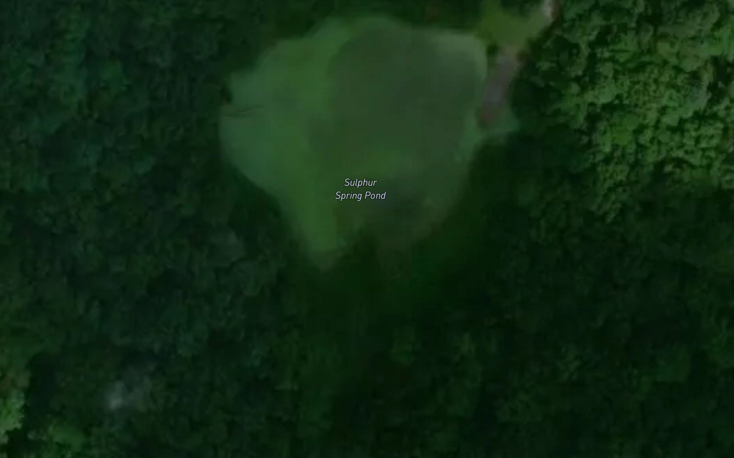 Sulphur Spring Pond