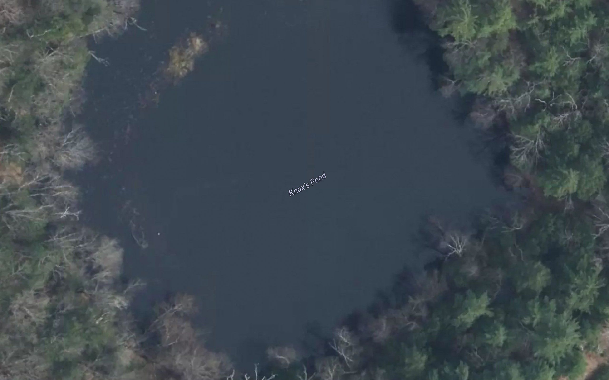 Knox Pond