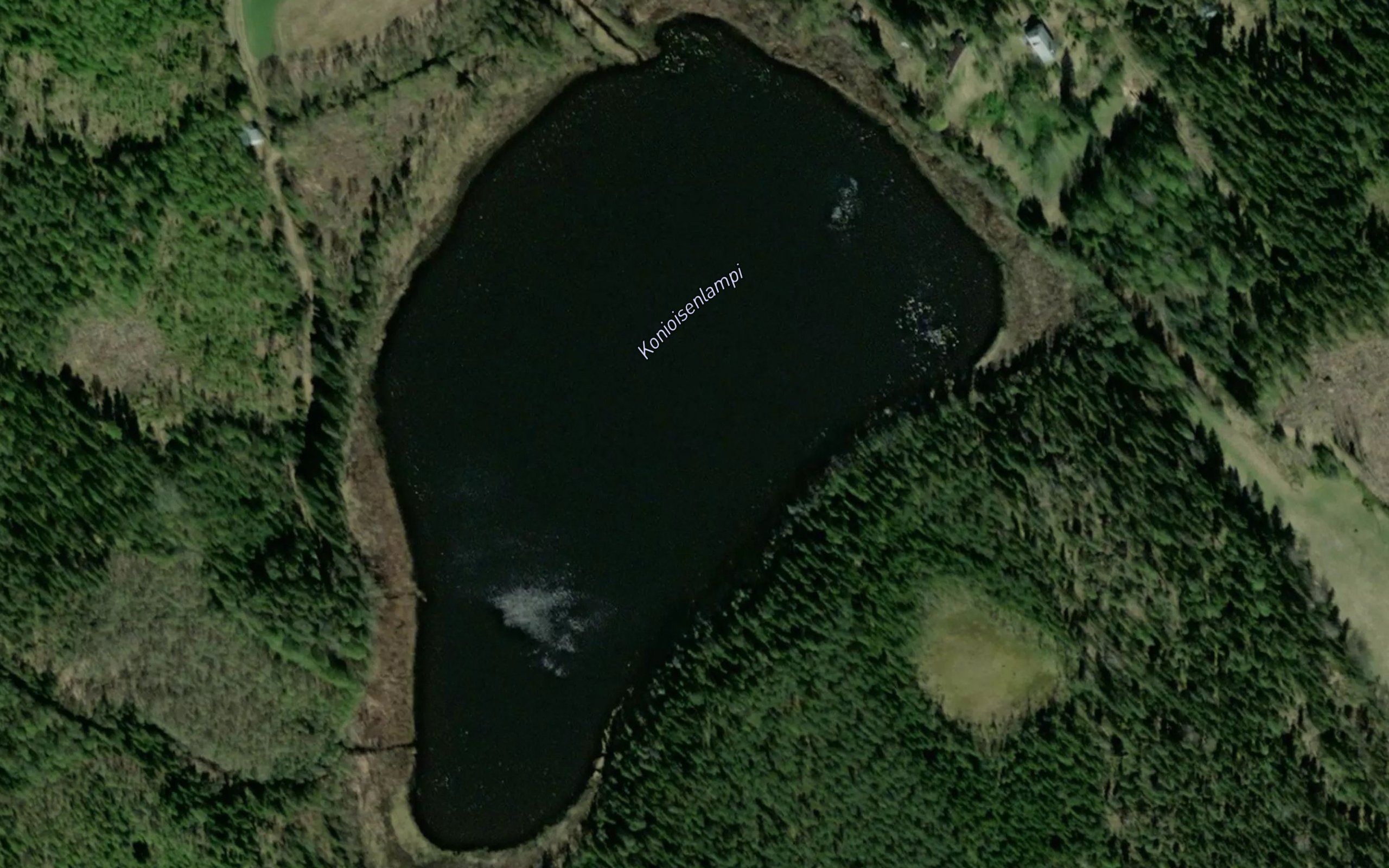 Konioisenlampi
