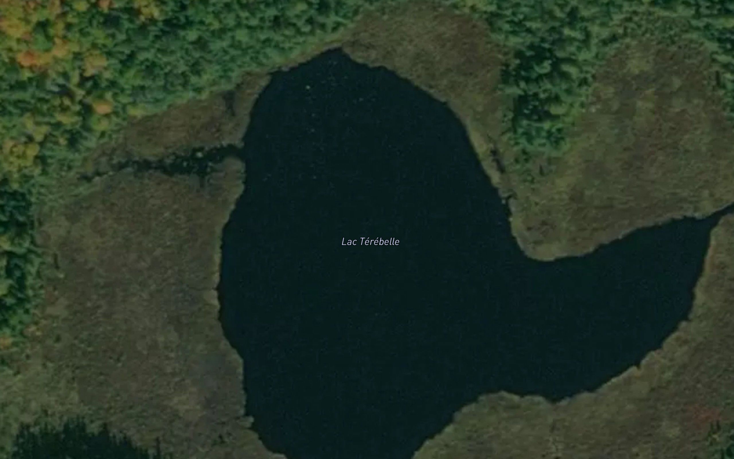 Lac Terebelle