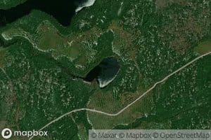 Lac Genetins