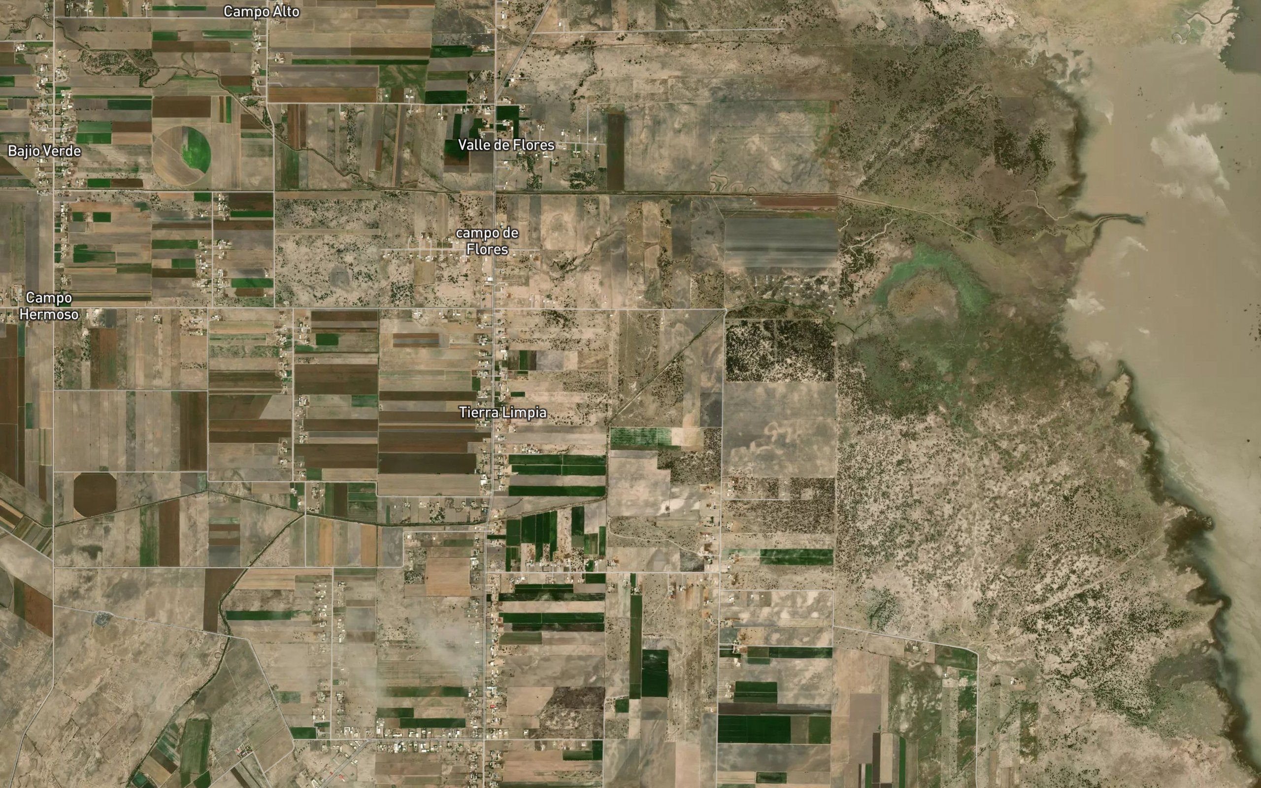 Pereda